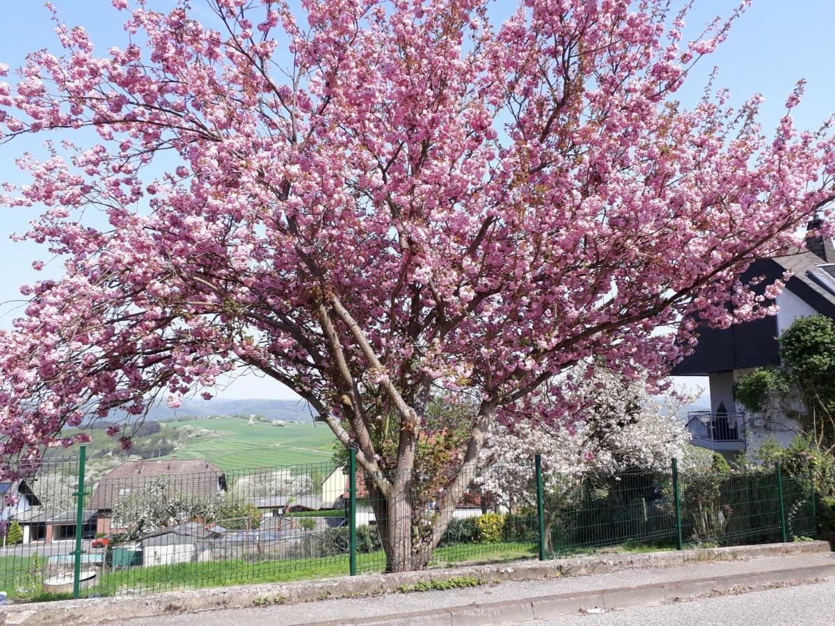 Apartamento Haus Der Rosen Boppard Exterior foto